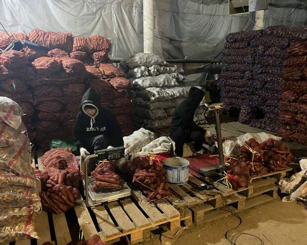 В Якутске началась поставка овощных наборов семьям мобилизованных