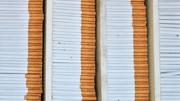 Эксперт оценил ситуацию с нелегальной табачной продукцией в России