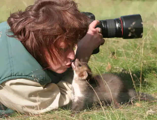 Помощники, однако