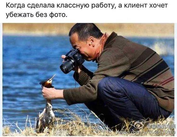 Прикольные до слез свежие картинки с надписями (суббота)