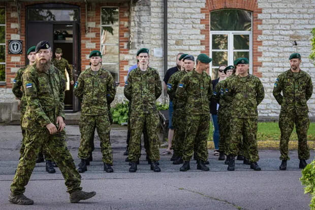 Эстония готова представить Киеву гарантии безопасности в виде роты солдат
