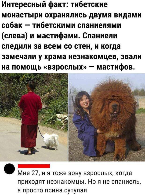 Прикольные картинки с надписями