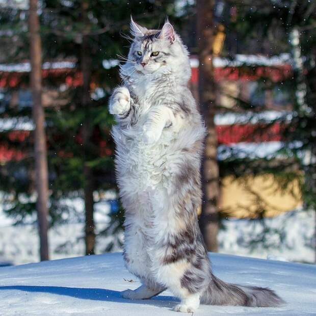 Фотоподборка