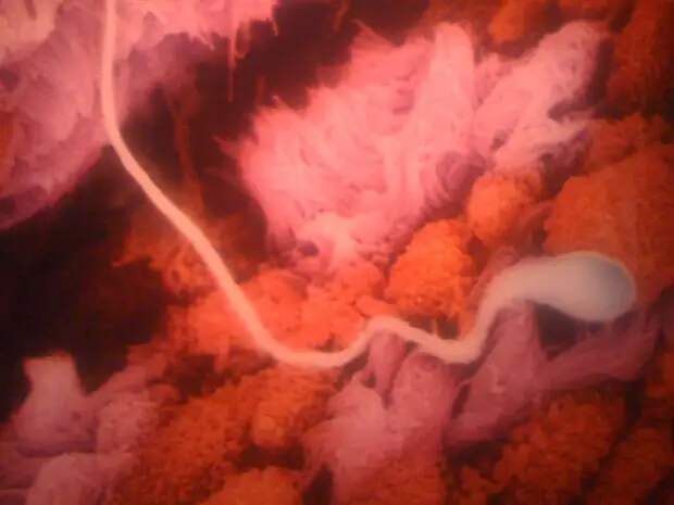 Начало всех начал