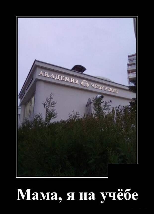 Демотиваторы (30 фото)