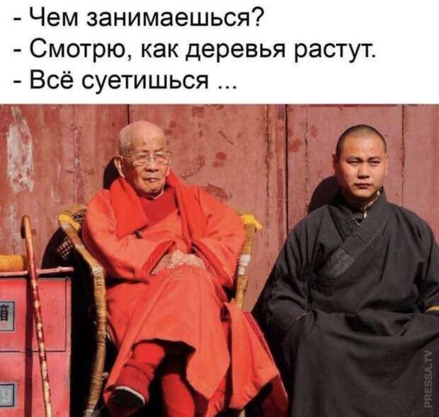 Мемы и смешные картинки