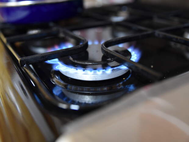 На Смоленщине за 2025 год выявили 110 фактов незаконного газопотребления