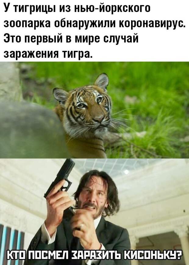 www.vsyako.net