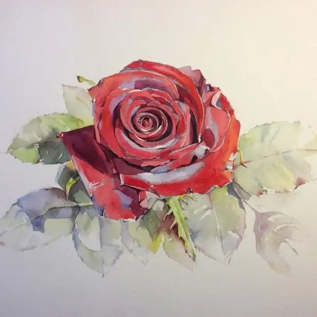 �������� Olena Duchene (����� �����) ������� � 28