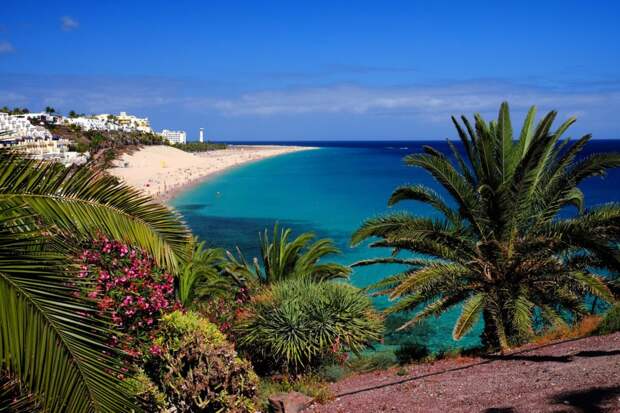 A beach in Fuerteventura with tropical plants and palm trees in the foreground and the coastline in the back.