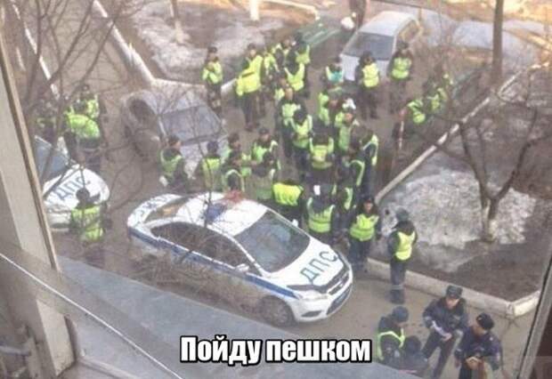 Подборка картинок. Подборка картинок.