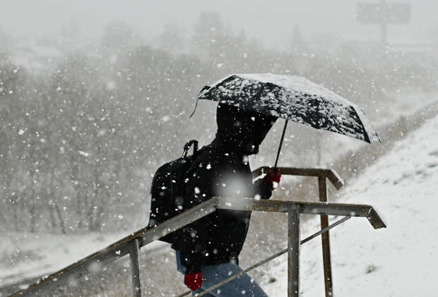Москвичам рассказали о погоде в конце рабочей недели
