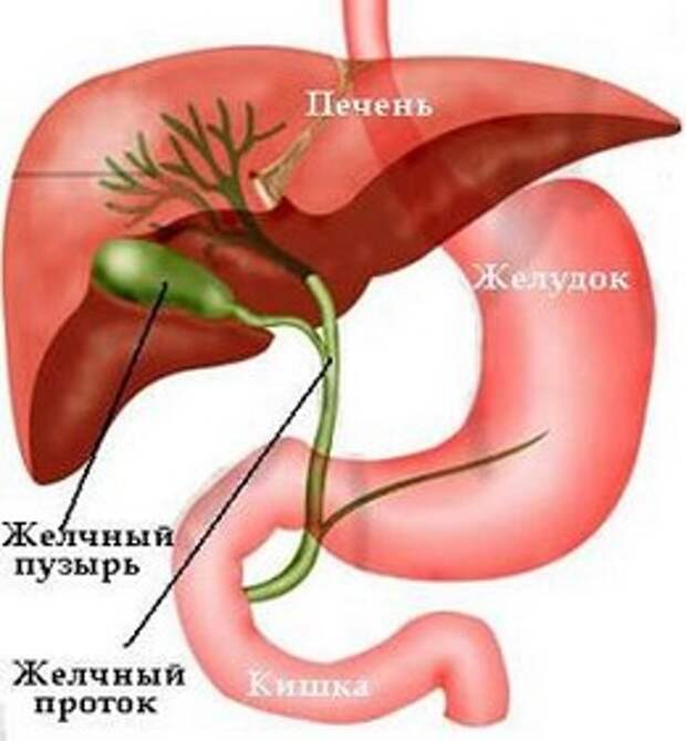 хронический холецистит лечение народными средствами