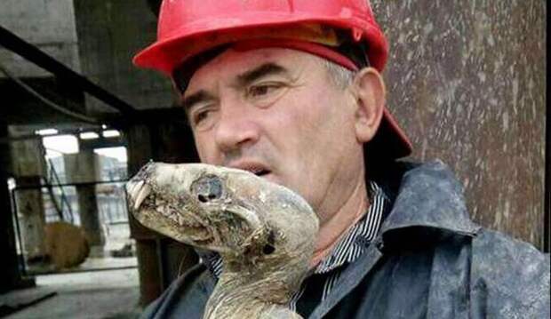В сибирском руднике нашли труп неизвестного существа