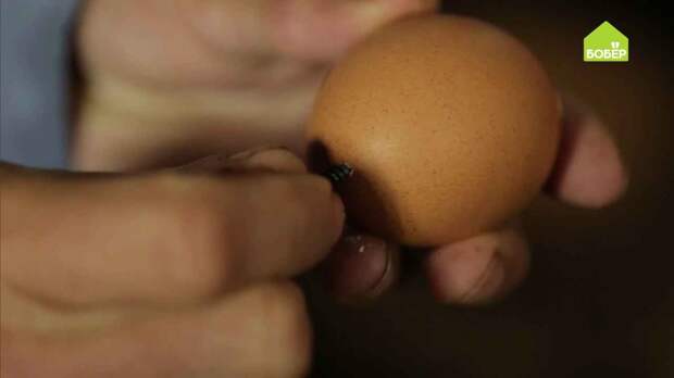 Ёмкость для рассады из куриного яйца