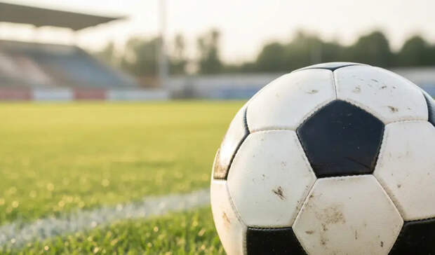 Подмосковные "Химки" вернутся в большой футбол под новым названием