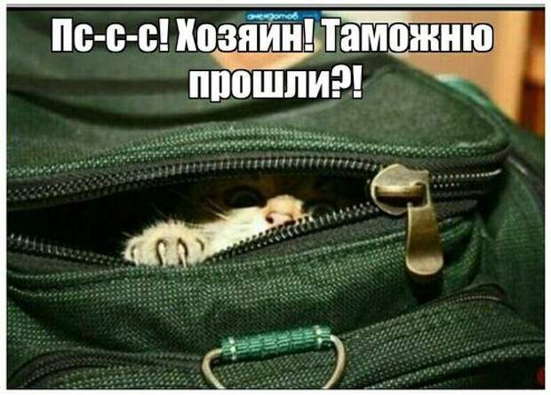 Подборка острого и яркого юмора