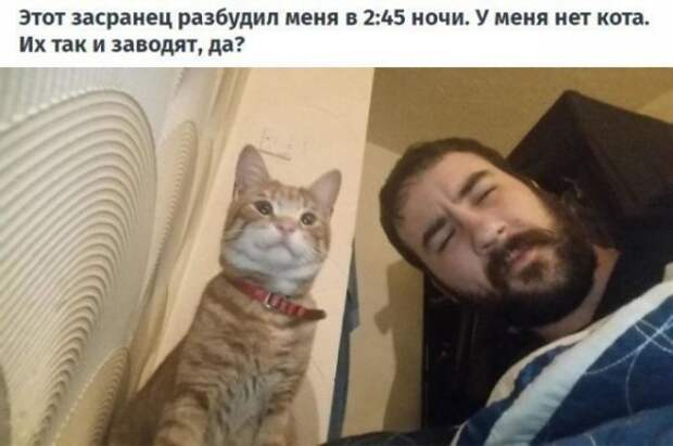 Чуток картинок!