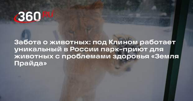 Парк-приют «Земля Прайда» продолжает развиваться