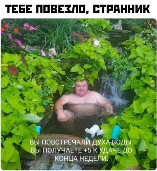 Смешные картинки вечер 9 июня 2021