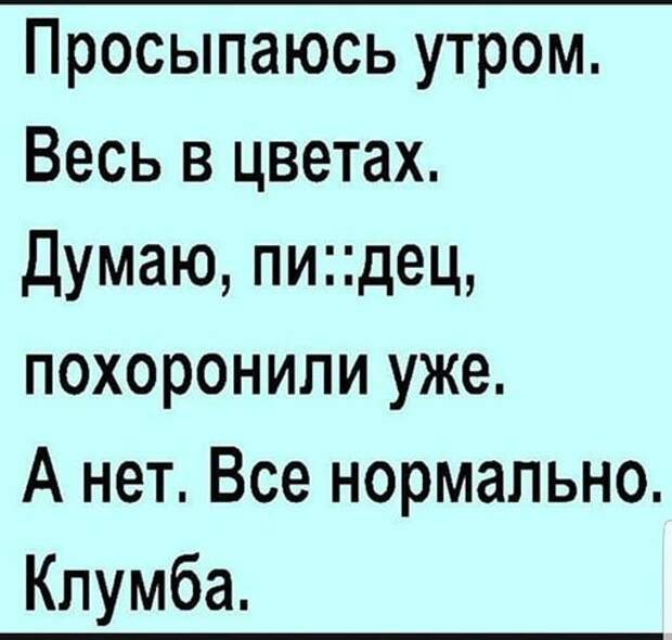 Пятничный алкоюмор Пятничный алкоюмор