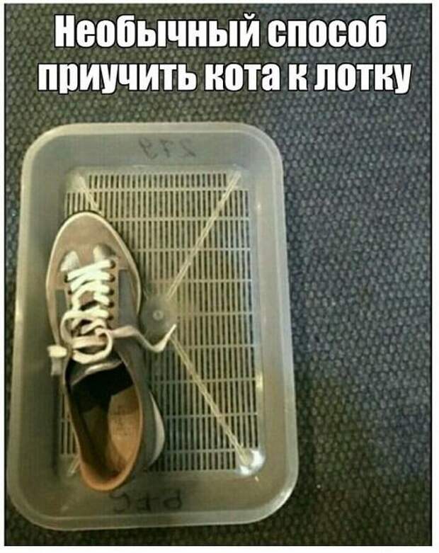 Свежие картинки с надписями этой пятницы