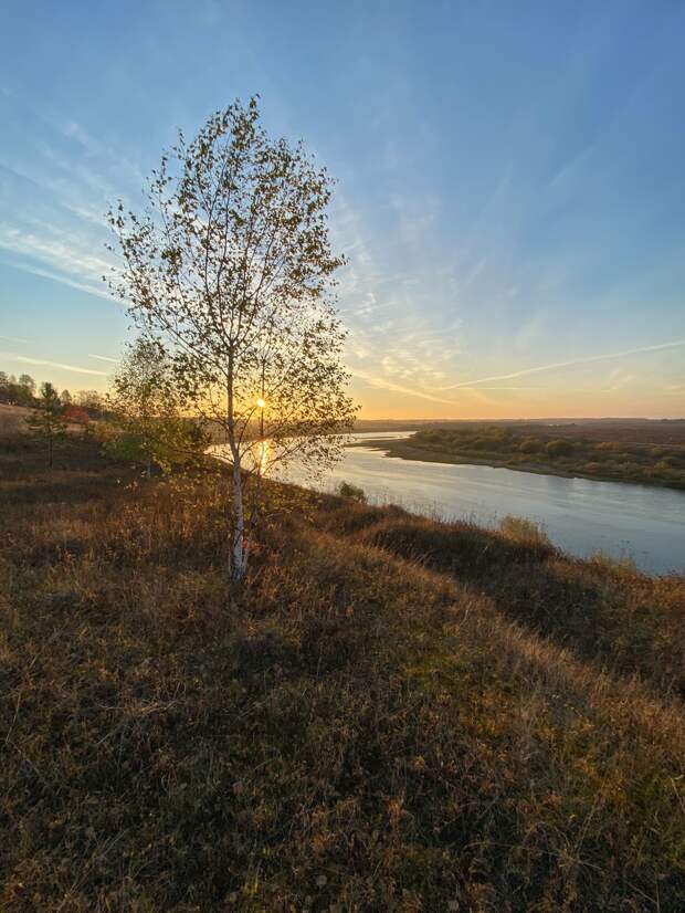рассвет у одинокой березки