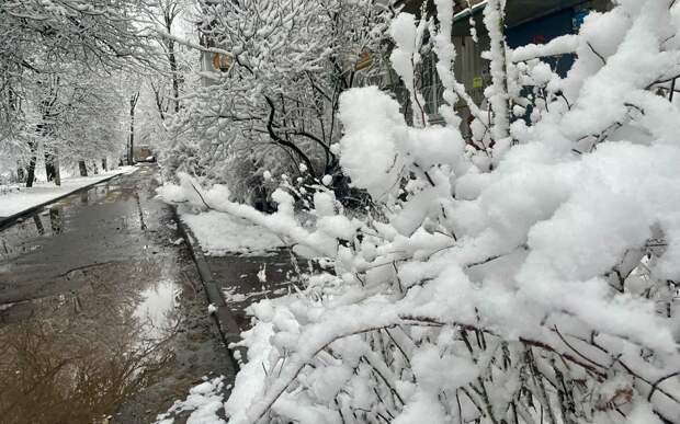 Большой потоп: рязанцев ждут мощные февральские дожди