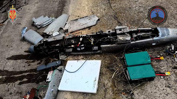 Система "Купол Донбасса" перехватила 240 украинских дронов за неделю