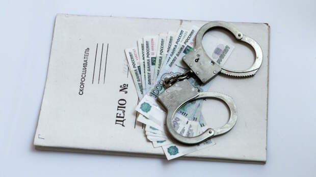 Дело о мошенничестве при реализации нацпроекта возбудили в Тамбовской области