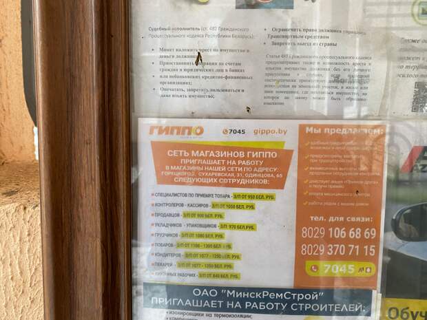 Объявление о поиске сотрудников в торговую сеть: зарплаты от 800 до 1300 рублей, или 22-35 тыс. российских. И это в столице.