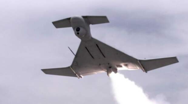 IAI Harpy Это дрон-камикадзе, предназначенный для обнаружения и уничтожения живой и бронированной силы противника. Беспилотник пикирует на цель с большой высоты, поражая ее осколочно-фугасным снарядом.