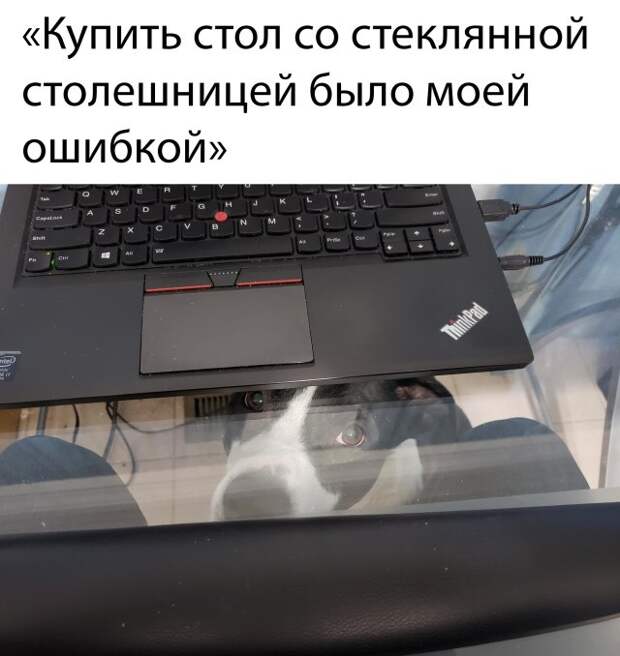 www.vsyako.net