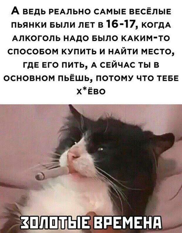 Шутки и мемы про алкоголь после прошедших выходных