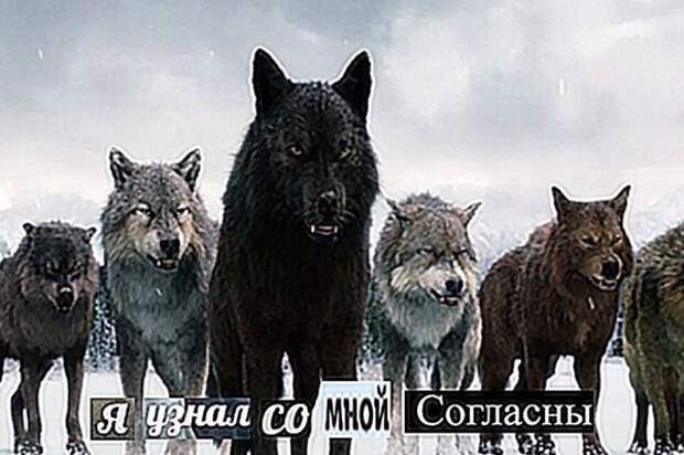Нестандартный юмор :)