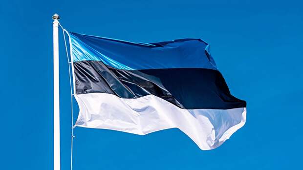 Эстонский политик возмущен допуском российских нейтральных спортсменов на Олимпиаду: «У МОК не хватило смелости»