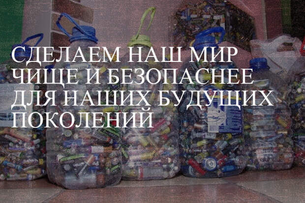 Молодые парламентарии Силино стали победителями конкурса экологических проектов Молодые парламентарии Силино стали победителями конкурса экологических проектов