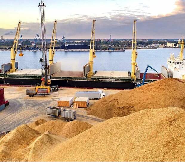 Bild: в ООН готовы выполнить условия России ради «зерновой сделки»