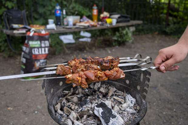 Юрист Гирич: за шашлык во дворе могут оштрафовать на 15 тыс. рублей