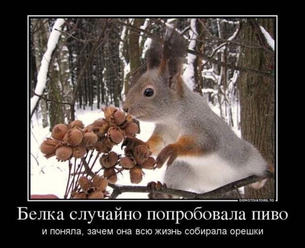 То ли смех, то ли слёзы приколы, смех, юмор
