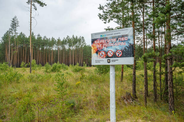 Шашлык ашыйсыгыз килә икән, кафега барыгыз: Май бәйрәмнәрендә кемгә штраф яный?