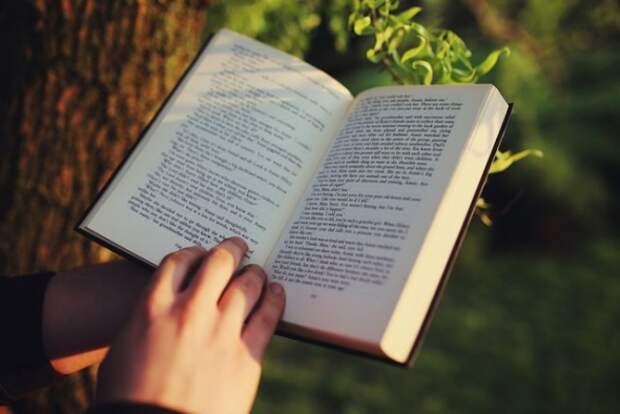 Я не читал книгу Тимофея Мартынова о трейдинге!