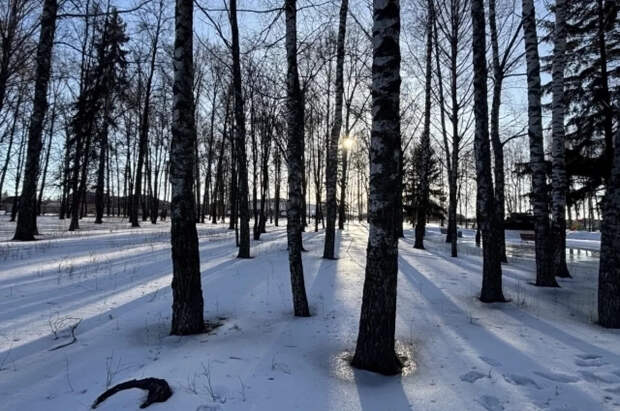 Синоптик Ильин предсказал теплую весеннюю неделю в Москве