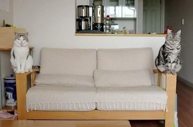 2iGv8mJ2OKI (500x332, 84Kb)