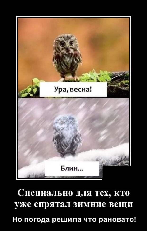 Демотиваторы (30 фото)