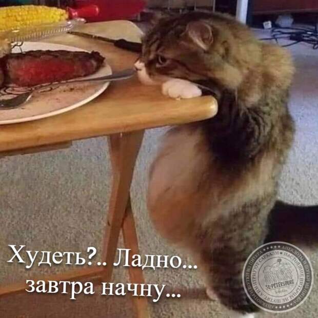 Худеть?.. Ладно... завтра начну...