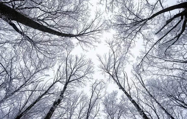 Первая в 2026 году ощутимая магнитная буря может случиться в ночь на 3 января