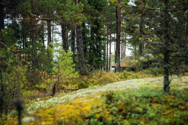 Летом на Балтике откроют остров-курорт для феминисток ynews, женщины, каникулы, курорт, мужчины, остров, феминизм, финляндия