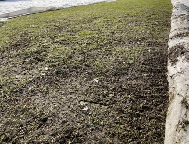 Болельщикам показали, как выглядит поле "Арсенала" за две недели до кубкового матча