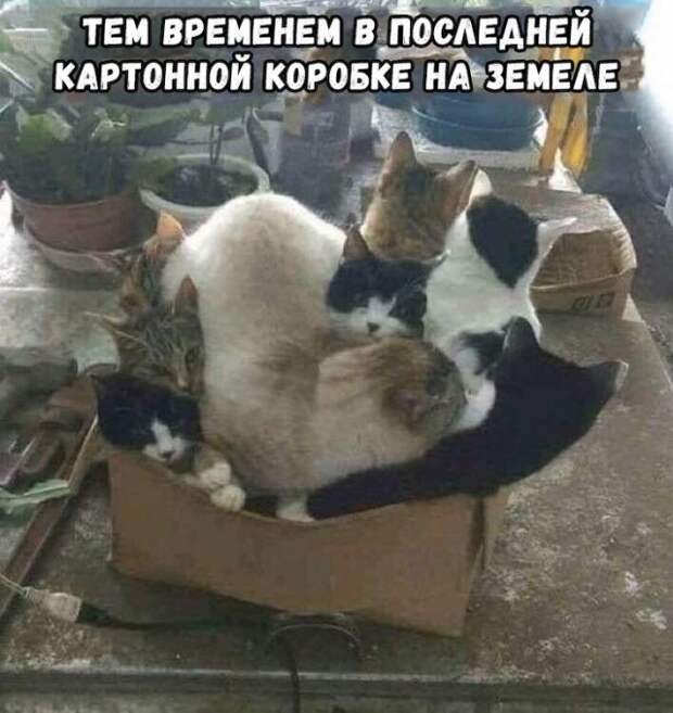 Подборка картинок. Вечерний выпуск (33 фото)